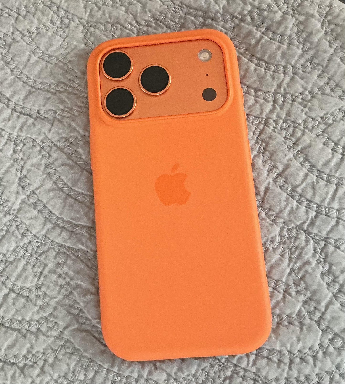 iPhone 17 / 17 Air / 17 Pro / 17 Pro Max Official Silicone Case